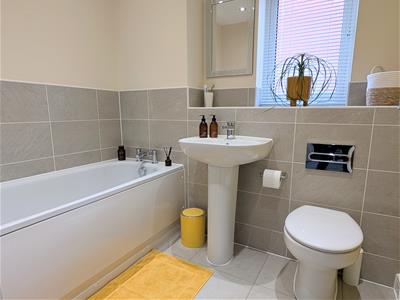 Picture 19